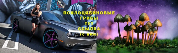 ГАЛЛЮЦИНОГЕННЫЕ ГРИБЫ Алзамай