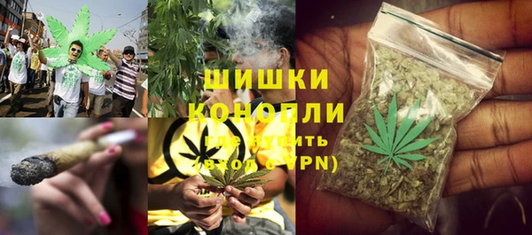ГАЛЛЮЦИНОГЕННЫЕ ГРИБЫ Алзамай