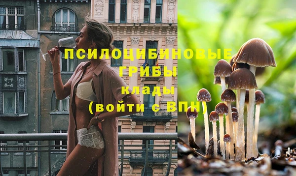 твердый Алексеевка
