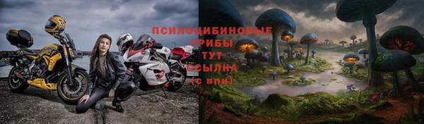 твердый Алексеевка
